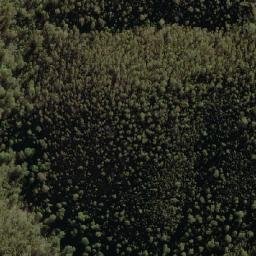 Satellite imagery of Brindabella Mountain, AU