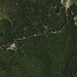 Satellite imagery of 1461, NZ