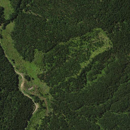 Satellite imagery of 1461, NZ