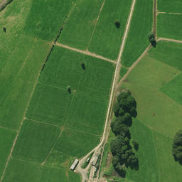 Satellite imagery of 1551, NZ
