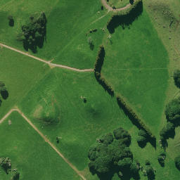 Satellite imagery of 1551, NZ