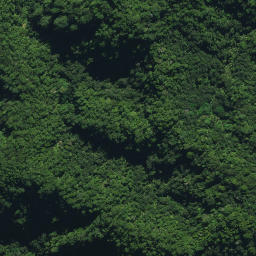 Satellite imagery of OTAMAUA NO 2, NZ