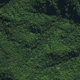 Satellite imagery of OTAMAUA NO 2, NZ
