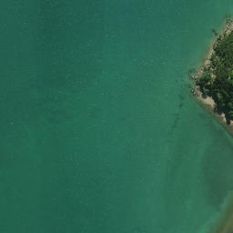 Satellite imagery of Ruakoura Point, NZ