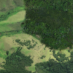 Satellite imagery of Papahui Pa, NZ