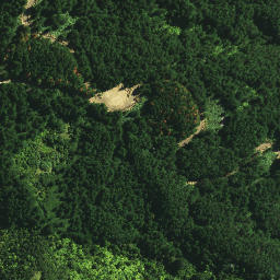 Satellite imagery of Tamatia Pa, NZ