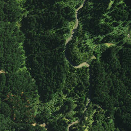 Satellite imagery of Tamatia Pa, NZ