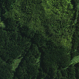 Satellite imagery of Tamatia Pa, NZ
