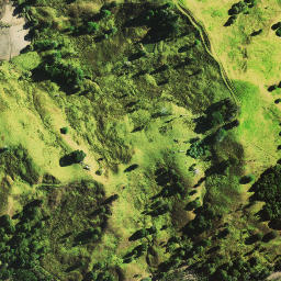 Satellite imagery of Motukaraka Point, NZ