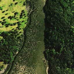 Satellite imagery of Motukaraka Point, NZ