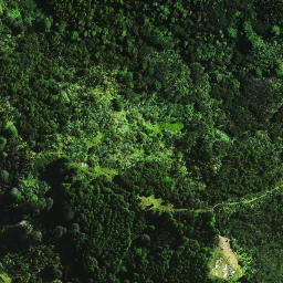Satellite imagery of Motukaraka Point, NZ