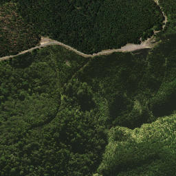 Satellite imagery of 1461, NZ