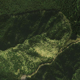 Satellite imagery of 1461, NZ