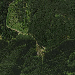 Satellite imagery of 1461, NZ