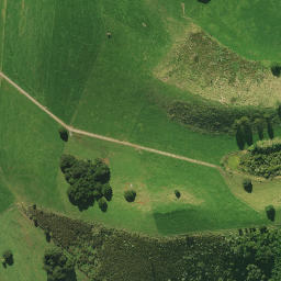 Satellite imagery of 1551, NZ