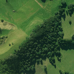 Satellite imagery of 1551, NZ