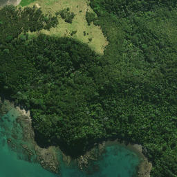 Satellite imagery of Papahui Pa, NZ