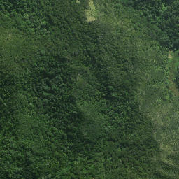 Satellite imagery of Pararaunui Point, NZ
