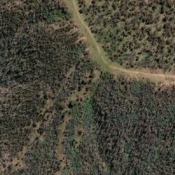 Satellite imagery of Dingo Mountain, AU