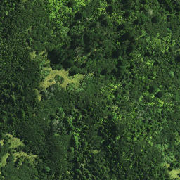 Satellite imagery of Tamatia Pa, NZ