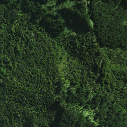 Satellite imagery of Tamatia Pa, NZ