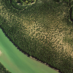 Satellite imagery of Motukaraka Point, NZ