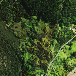 Satellite imagery of Motukaraka Point, NZ