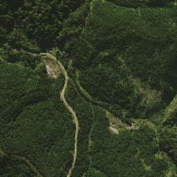Satellite imagery of 1461, NZ