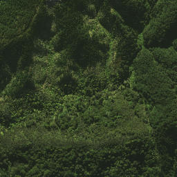 Satellite imagery of 1461, NZ