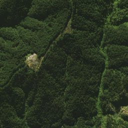 Satellite imagery of 1461, NZ