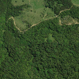 Satellite imagery of PUKEWHARARIKI NO 2, NZ