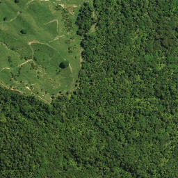 Satellite imagery of PUKEWHARARIKI NO 2, NZ