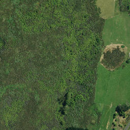 Satellite imagery of PUTAHI NO 2, NZ