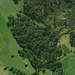 Satellite imagery of 1551, NZ