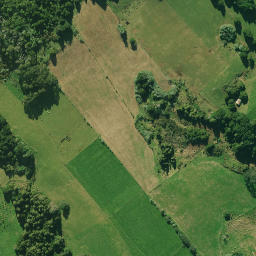 Satellite imagery of 1551, NZ