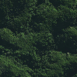 Satellite imagery of OTAMAUA NO 2, NZ