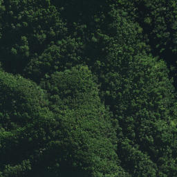 Satellite imagery of OTAMAUA NO 2, NZ
