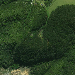 Satellite imagery of Opau Pa, NZ