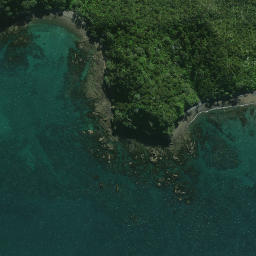 Satellite imagery of Pararaunui Point, NZ