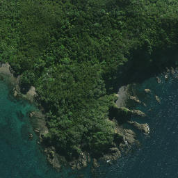 Satellite imagery of Pararaunui Point, NZ