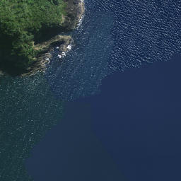 Satellite imagery of Pararaunui Point, NZ