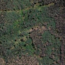 Satellite imagery of Dingo Mountain, AU
