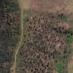 Satellite imagery of Dingo Mountain, AU