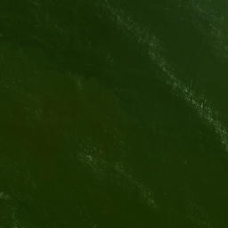 Satellite imagery of Tuapeke Point, NZ