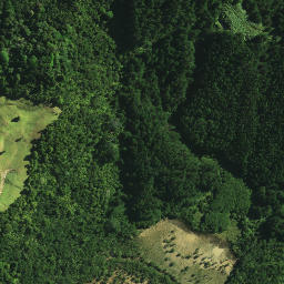 Satellite imagery of Tamatia Pa, NZ