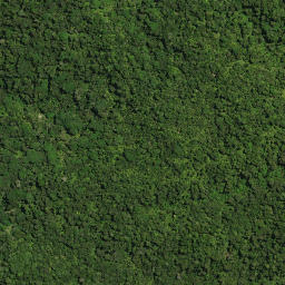 Satellite imagery of PUKEWHARARIKI NO 2, NZ