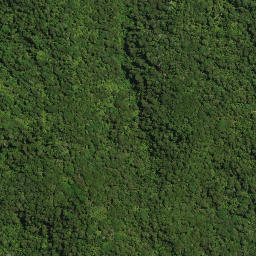 Satellite imagery of PUKEWHARARIKI NO 2, NZ