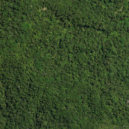 Satellite imagery of PUKEWHARARIKI NO 2, NZ