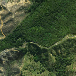 Satellite imagery of Opau Pa, NZ