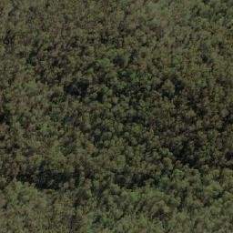 Satellite imagery of Bulls Head, AU